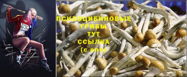спайс Алзамай