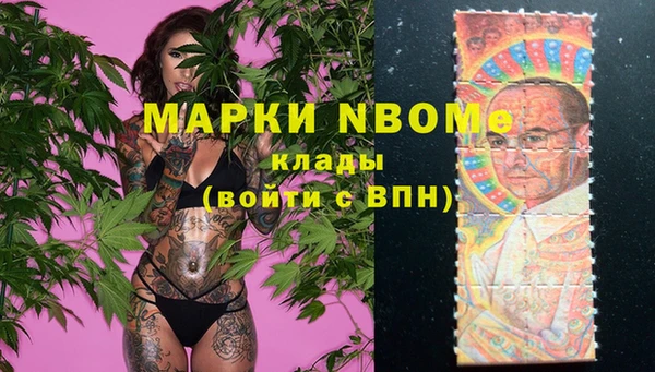 бошки Алексин