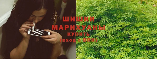 ГАЛЛЮЦИНОГЕННЫЕ ГРИБЫ Медногорск