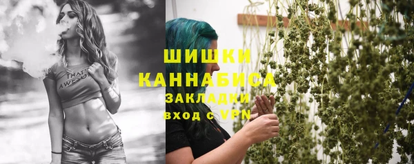 бошки Алексин
