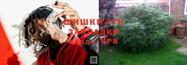 бошки Алексин