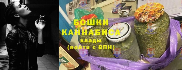 бошки Алексин
