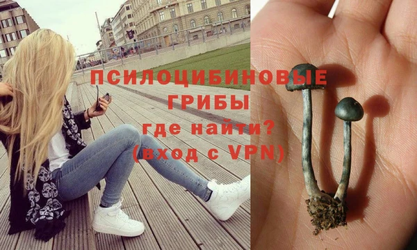 бошки Алексин