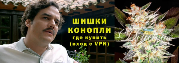 спайс Алзамай